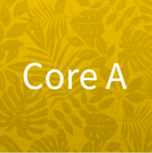 CORE A:  Advertising, Agency, and Accountability – It’s Your Kuleana! (3 hrs, Hawaii)