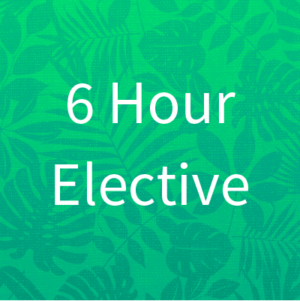 Disclosures in Residential Transactions (6 hrs, Hawaii)